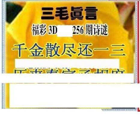 23256期: 三毛3D精品图谜