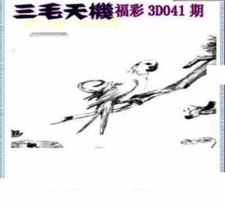 23041期: 三毛3D精品图谜