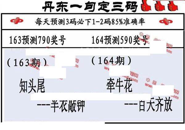 23164期: 福彩3D丹东全图分析