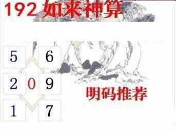 23192期: 白老3D杀码图版