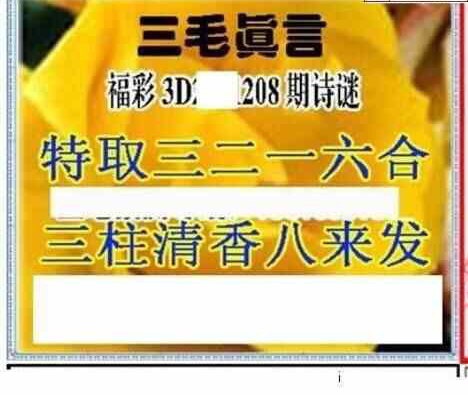 23208期: 三毛3D精品图谜