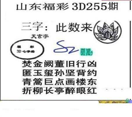 23255期: 三毛3D精品图谜