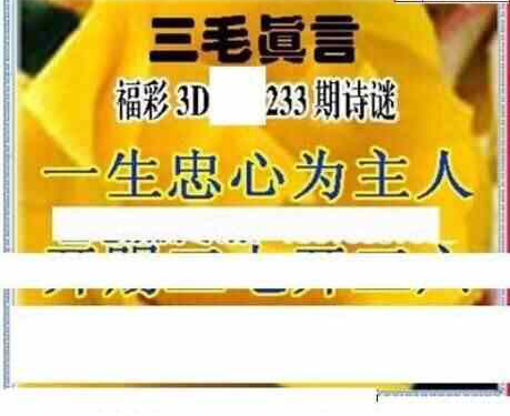 23233期: 三毛3D精品图谜