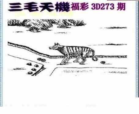 23273期: 三毛3D精品图谜