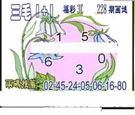 23228期: 三毛3D精品图谜