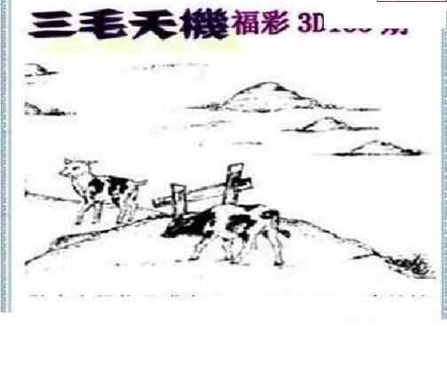 23135期: 三毛3D精品图谜