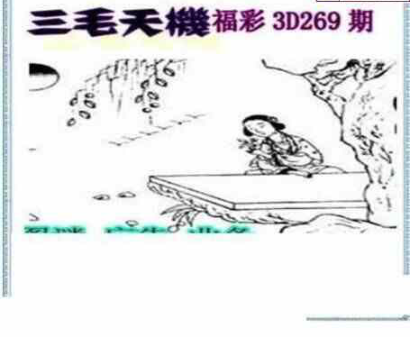 23269期: 三毛3D精品图谜