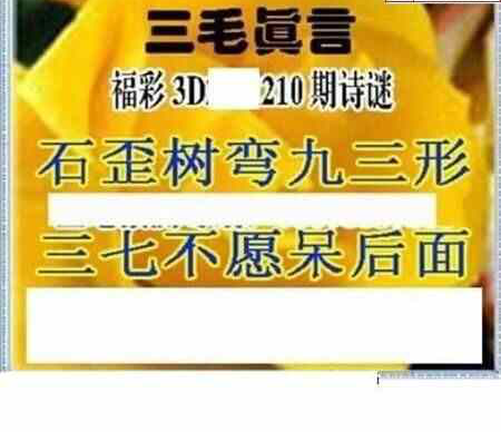 23210期: 三毛3D精品图谜