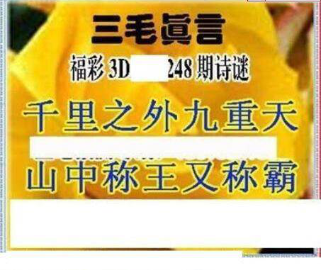 23248期: 三毛3D精品图谜