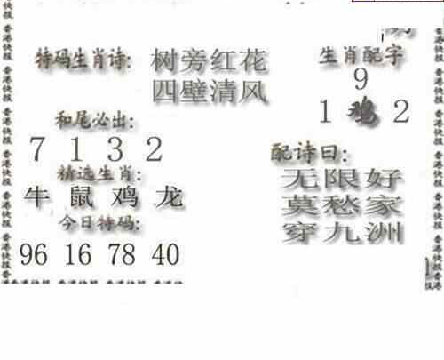 23116期: 白老3D杀码图版