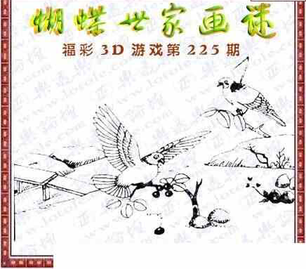 23225期: 3D蝴蝶世家蝴蝶彩图