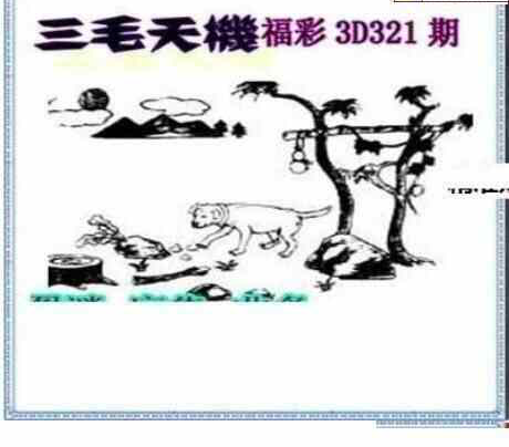 23321期: 三毛3D精品图谜