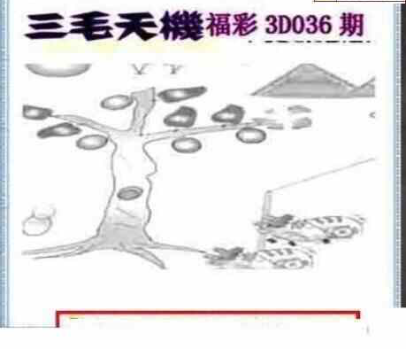 24036期: 三毛3D精品图谜