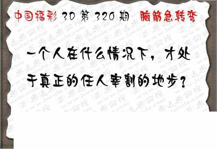 23320期: 3D蝴蝶世家蝴蝶彩图