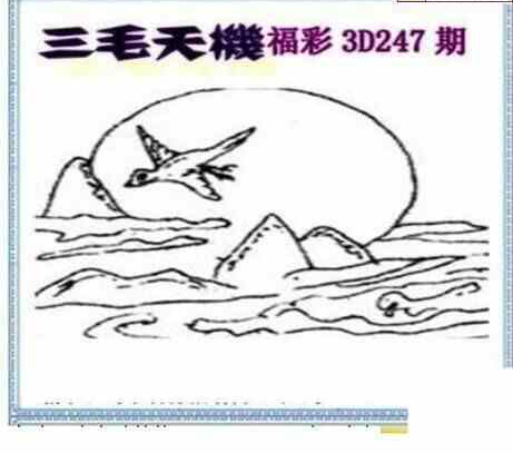 23247期: 三毛3D精品图谜