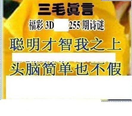 23255期: 三毛3D精品图谜