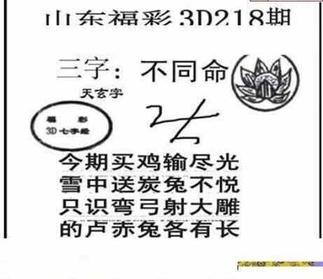 23218期: 三毛3D精品图谜