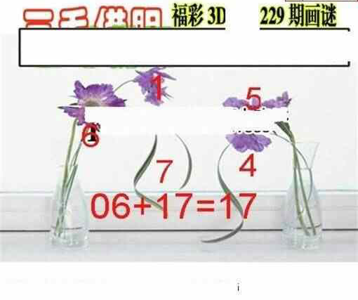 23229期: 三毛3D精品图谜