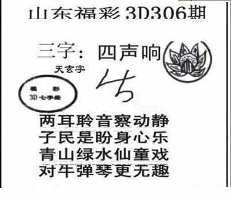 23306期: 三毛3D精品图谜