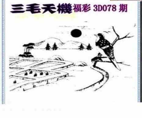 23078期: 三毛3D精品图谜