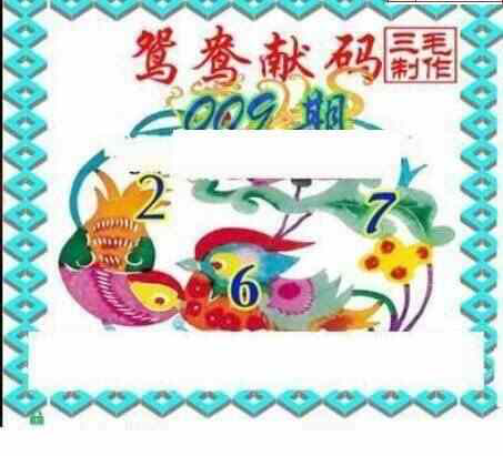 23009期: 三毛3D精品图谜