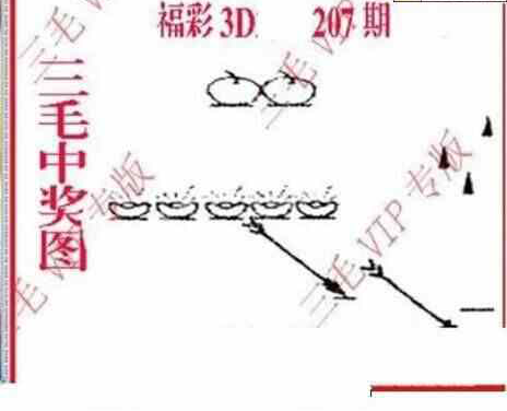 23207期: 三毛3D精品图谜