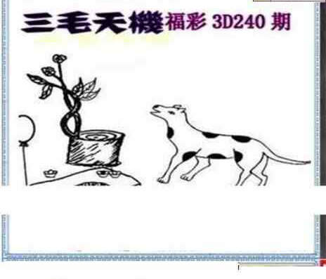 23240期: 三毛3D精品图谜