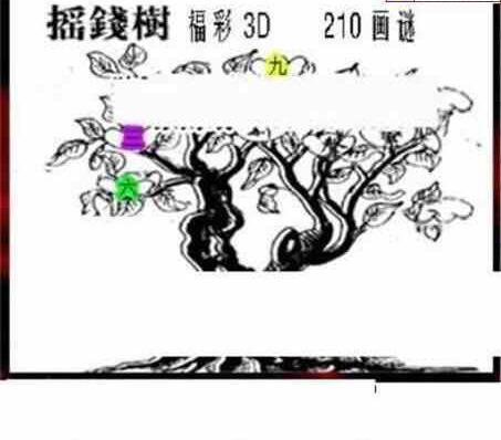 23210期: 三毛3D精品图谜