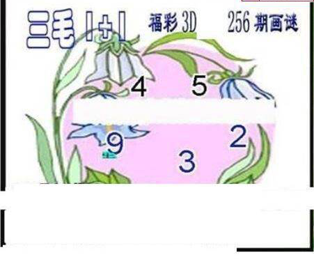 23256期: 三毛3D精品图谜