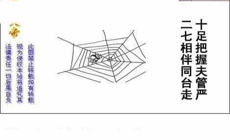 23291期: 白老3D杀码图版