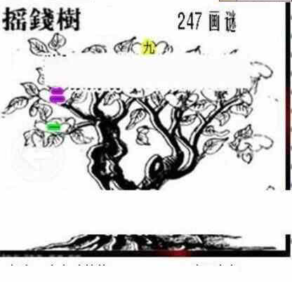 23247期: 三毛3D精品图谜