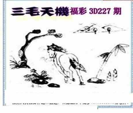 23227期: 三毛3D精品图谜