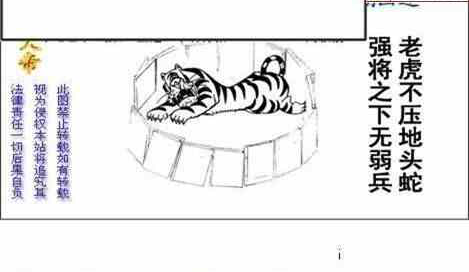 23235期: 白老3D杀码图版