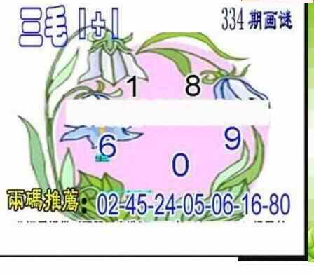 23334期: 三毛3D精品图谜