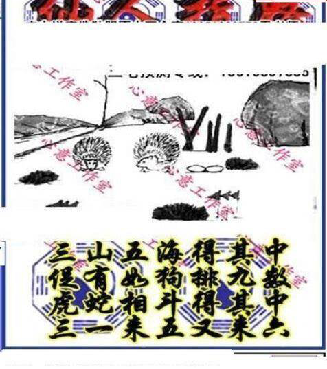 23257期: 三毛3D精品图谜