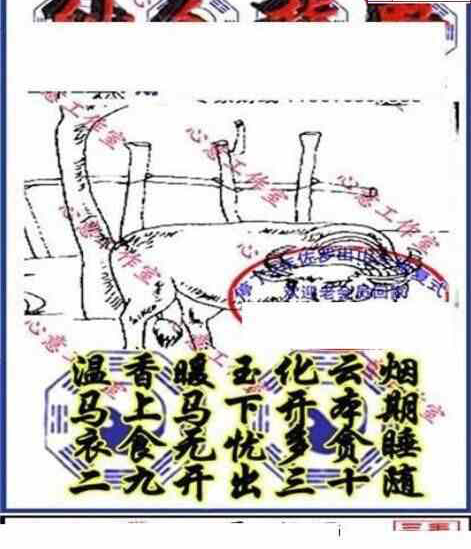 23224期: 三毛3D精品图谜