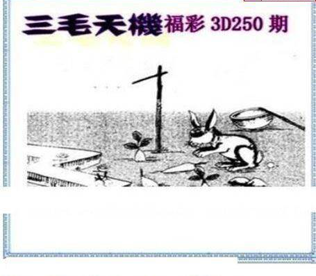 23250期: 三毛3D精品图谜