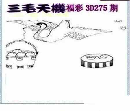 23275期: 三毛3D精品图谜