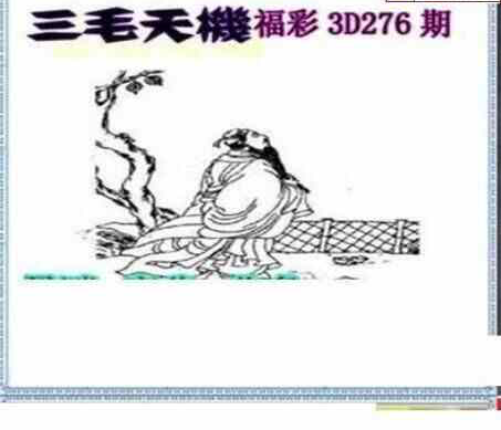 23276期: 三毛3D精品图谜