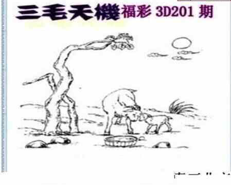 23201期: 三毛3D精品图谜