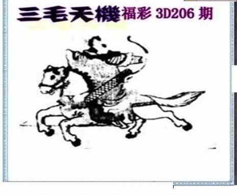 23206期: 三毛3D精品图谜