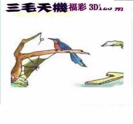 23123期: 三毛3D精品图谜