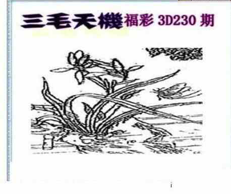 23230期: 三毛3D精品图谜