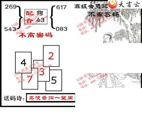 东北王寻码图262期图片